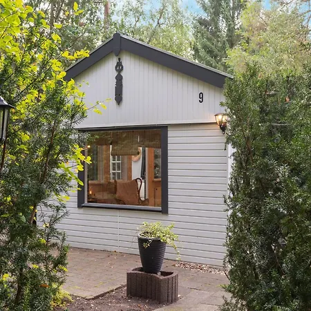 In Gelderland Near Woodlands * Hattemerbroek