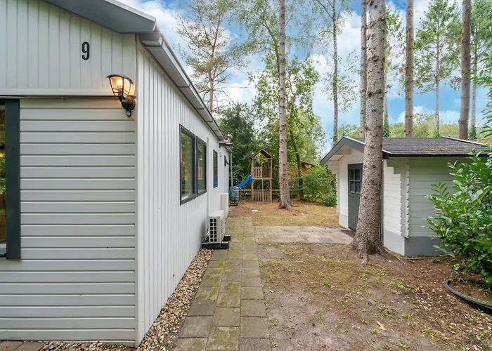 In Gelderland Near Woodlands Hattemerbroek