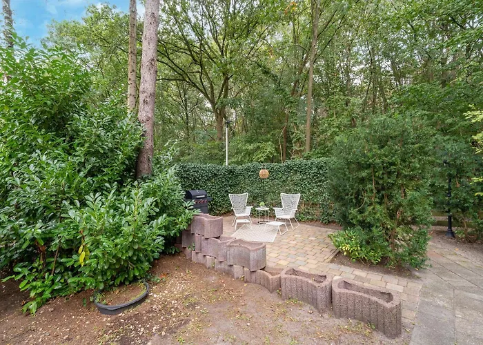 In Gelderland Near Woodlands * Hattemerbroek