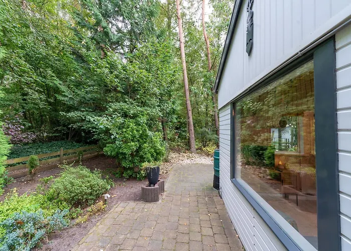 In Gelderland Near Woodlands * Hattemerbroek