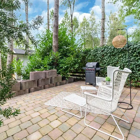 In Gelderland Near Woodlands * Hattemerbroek