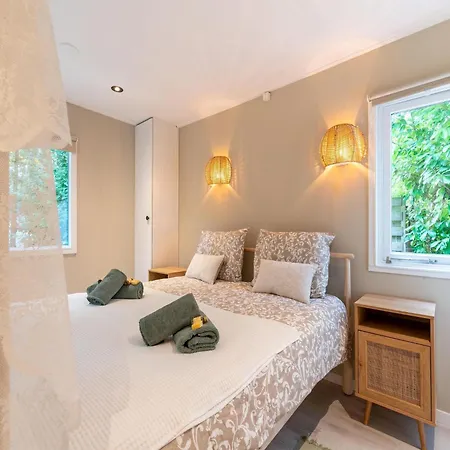 In Gelderland Near Woodlands