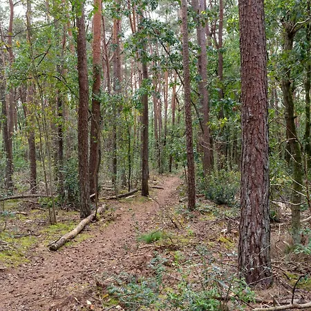 In Gelderland Near Woodlands Casa de Férias Hattemerbroek