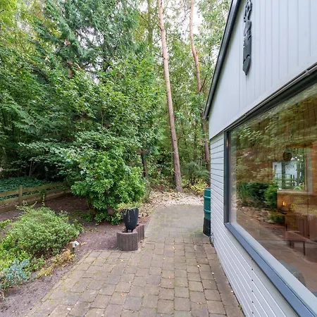 In Gelderland Near Woodlands * Hattemerbroek