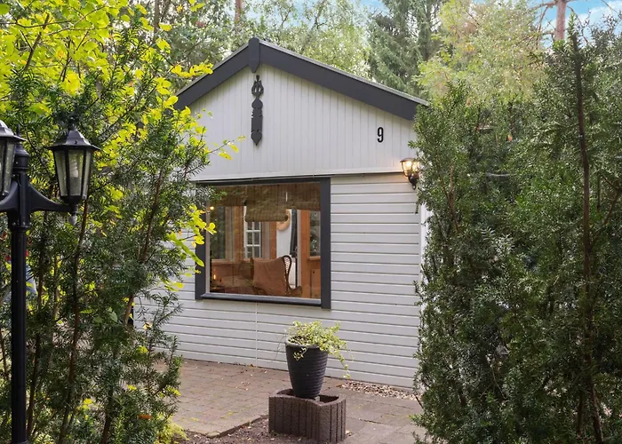 In Gelderland Near Woodlands * Hattemerbroek