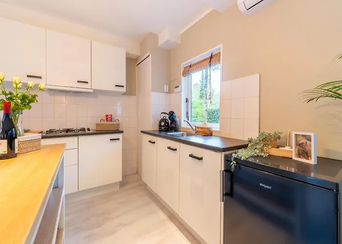 In Gelderland Near Woodlands *